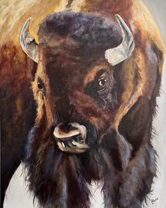 “Buffalo” - (c)2026 Lauren Parish Art