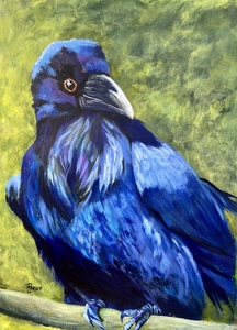 Keen Eye - (c)2026 Lauren Parish Art