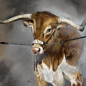 Bevo Breaking Through