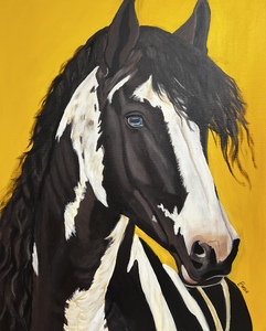 Tribute to America’s Wild Horses